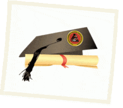 Courses We Offered